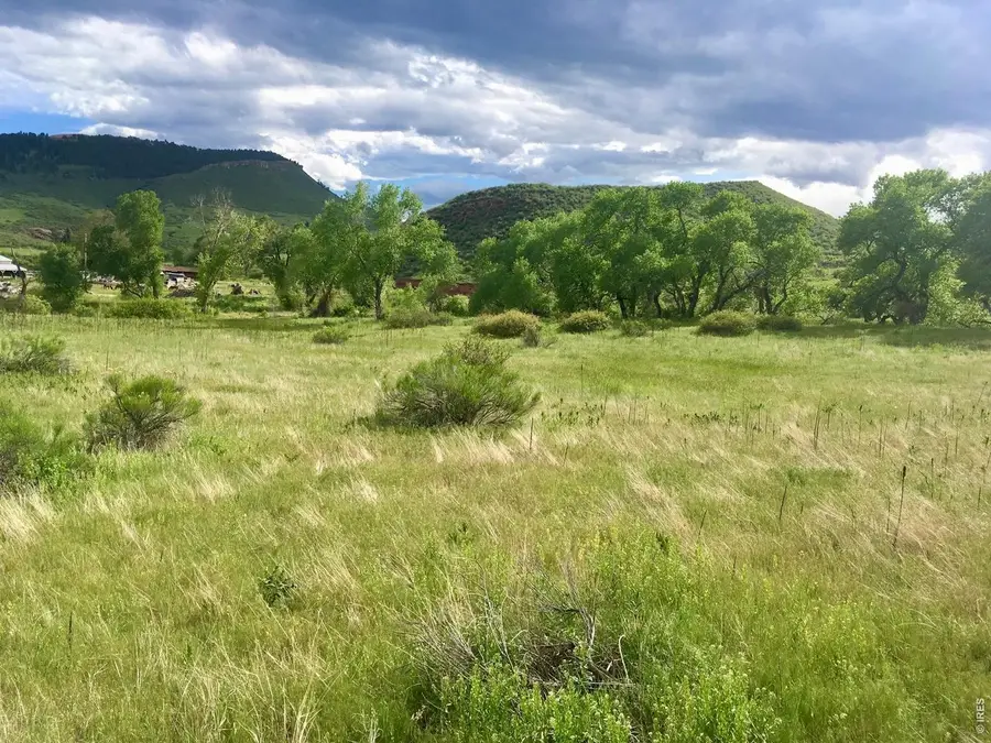 306 River Way, Lyons, CO 80540 - #3
