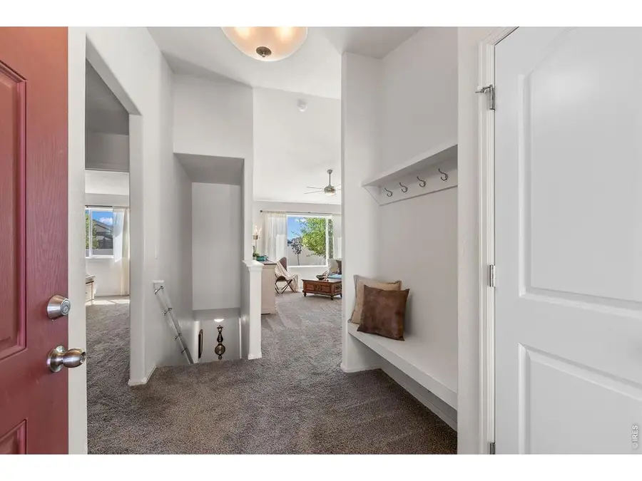 1113 Tur St, Severance, CO 80550 - #2