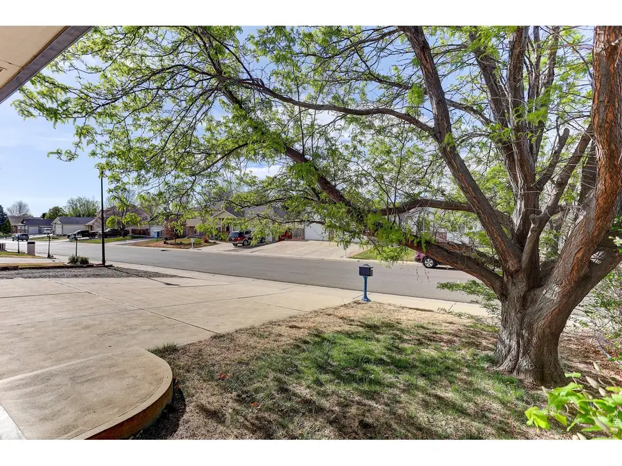 145 Falcon Cir, Mead, CO 80542 - #3