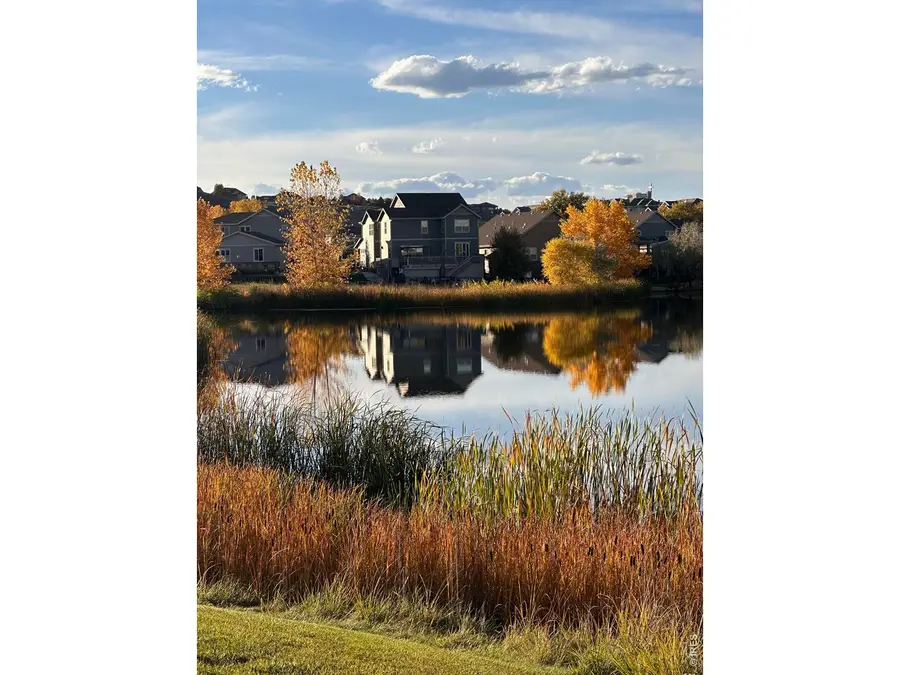 1971 Shadow Lake Ct, Windsor, CO 80550 - #3