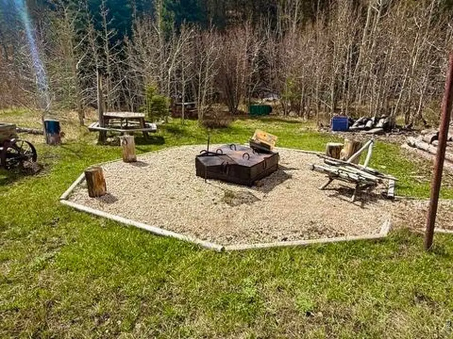 528 Lone Pine Lake Dr, Red Feather Lakes, CO 80545 - #3