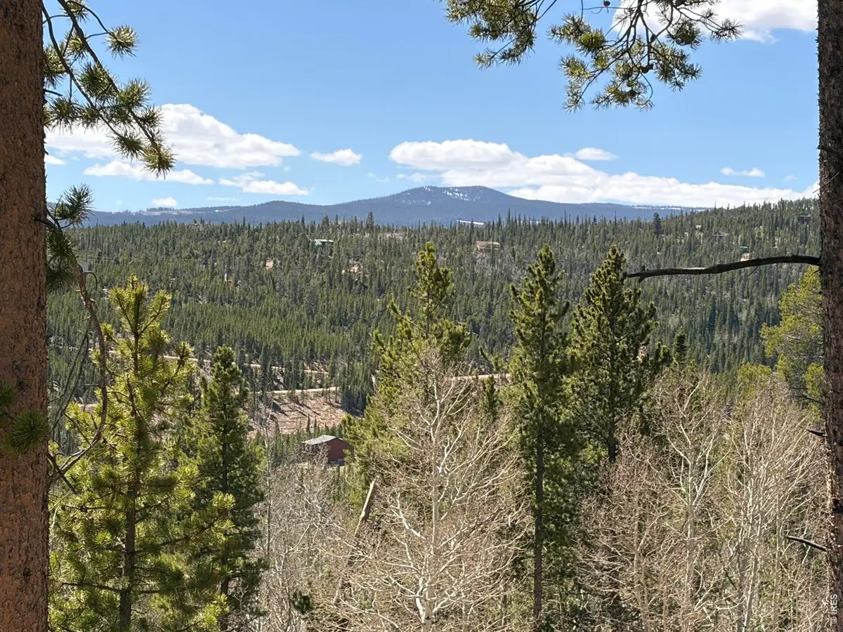 726 Micmac Dr, Red Feather Lakes, CO 80545 - #1