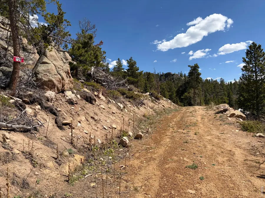 726 Micmac Dr, Red Feather Lakes, CO 80545 - #2