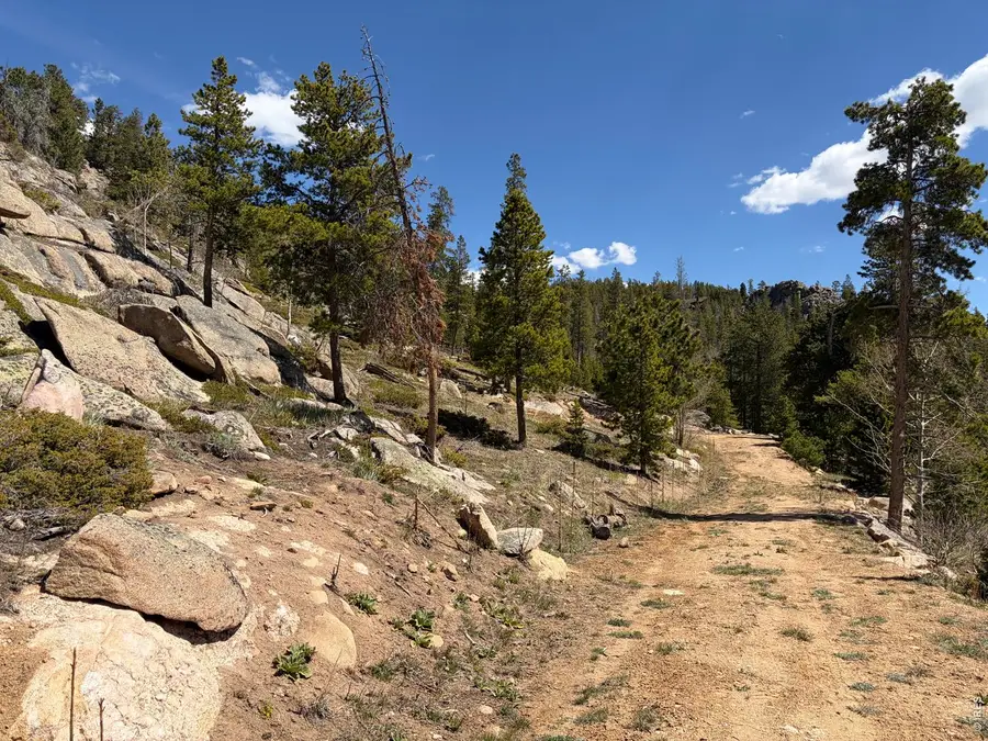 726 Micmac Dr, Red Feather Lakes, CO 80545 - #3