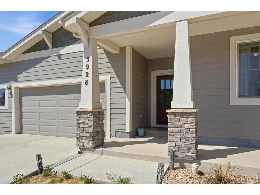 3928 River Birch St, Wellington, CO 80549 - #2