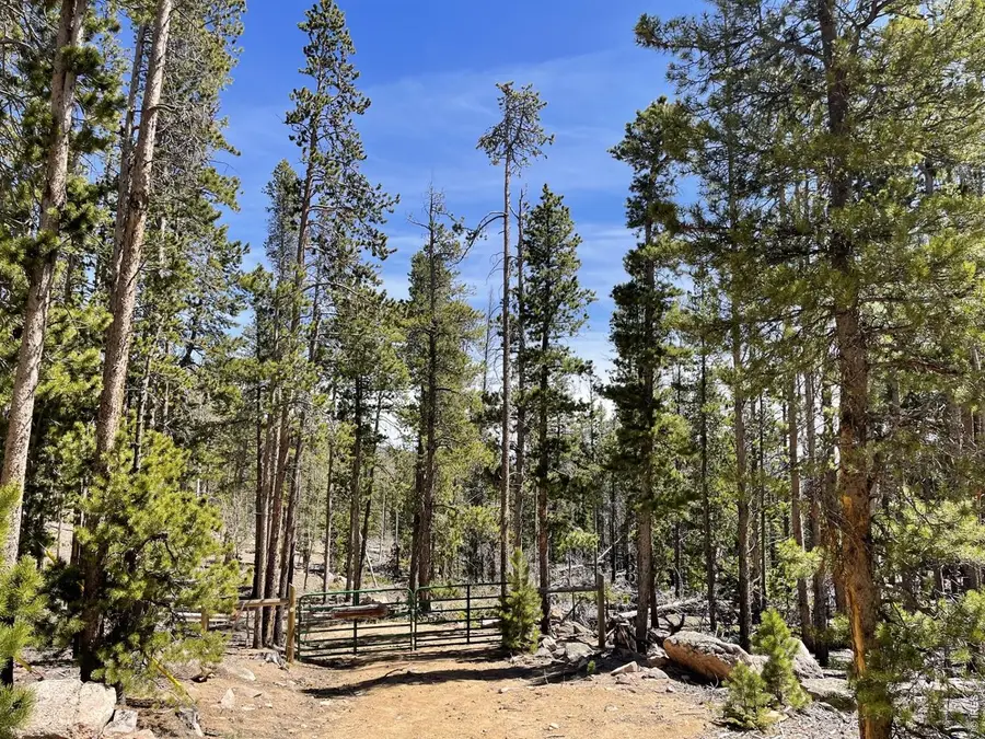 1374 Jicarilla Trl, Red Feather Lakes, CO 80545 - #2