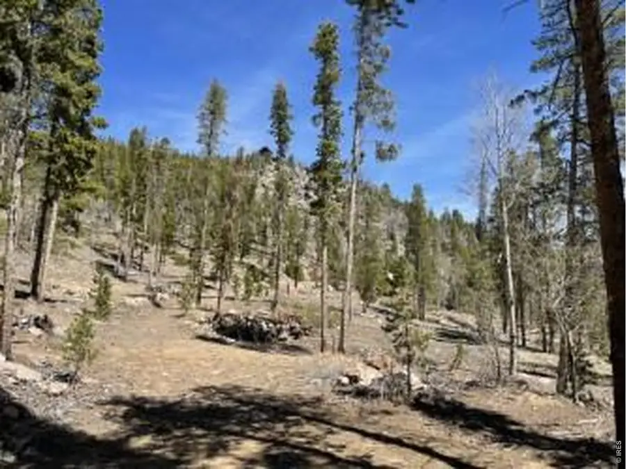 1374 Jicarilla Trl, Red Feather Lakes, CO 80545 - #3
