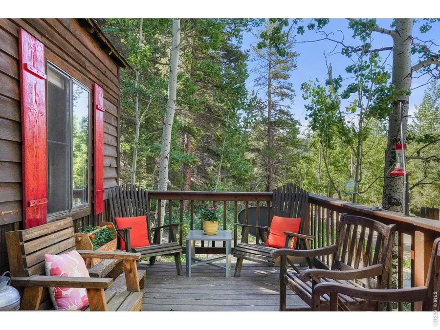 1410 Caribou Rd, Nederland, CO 80466 - #2
