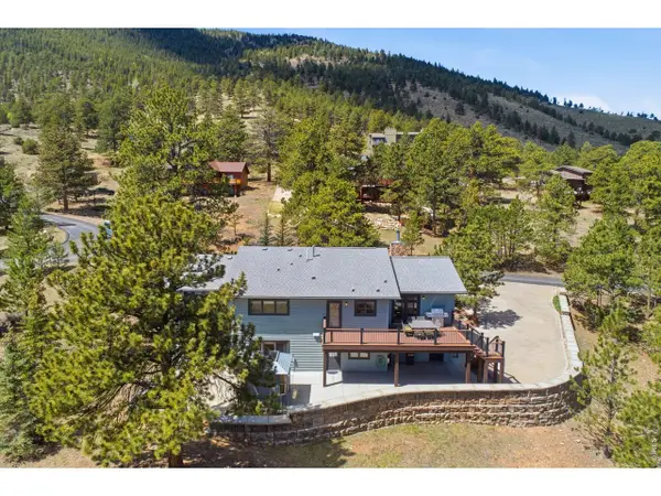 1075 Fall River Ct, Estes Park, CO 80517