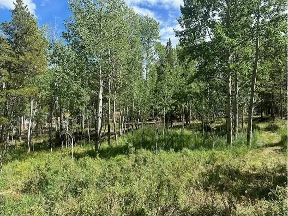 293 Aspen Cir, Black Hawk, CO 80422 - #1