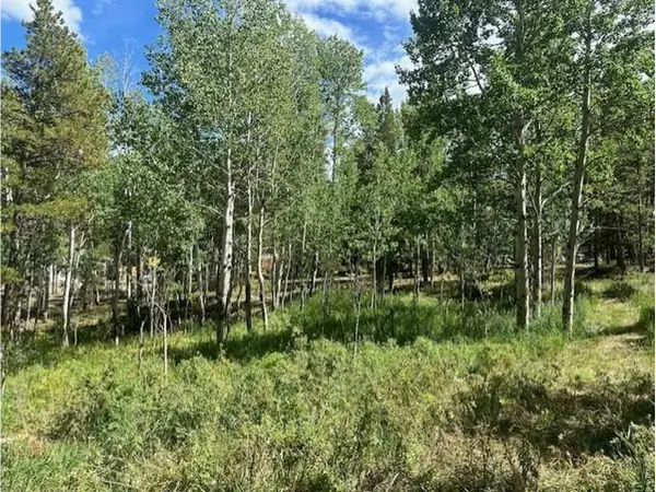 293 Aspen Cir, Black Hawk, CO 80422