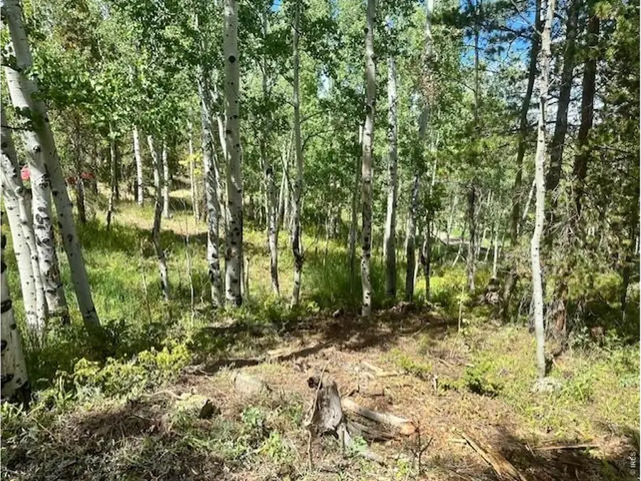 293 Aspen Cir, Black Hawk, CO 80422 - #2