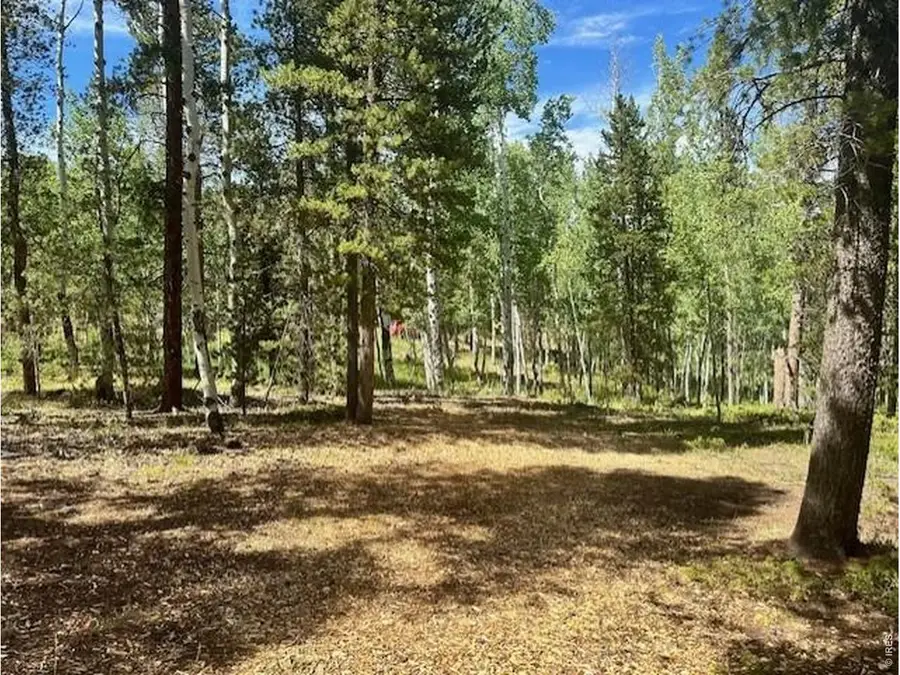 293 Aspen Cir, Black Hawk, CO 80422 - #3