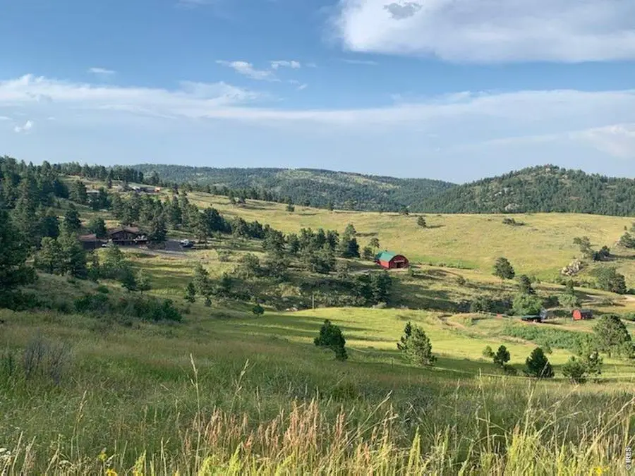 27033 Thea Gulch Rd, Golden, CO 80403 - #3