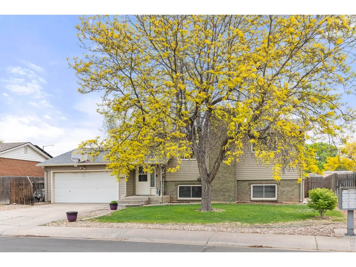 905 Woodbine Dr, Windsor, CO 80550 - #1