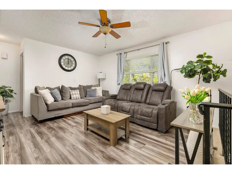 905 Woodbine Dr, Windsor, CO 80550 - #2