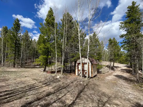 3105 Ottawa Way, Red Feather Lakes, CO 80545