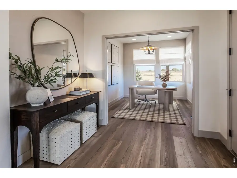 744 Trumpet Ct, Windsor, CO 80550 - #2