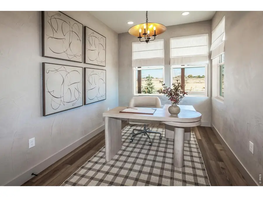 744 Trumpet Ct, Windsor, CO 80550 - #3