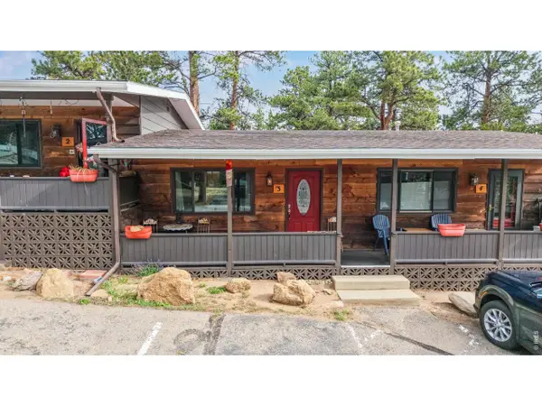 1250 S Saint Vrain Ave #3, Estes Park, CO 80517