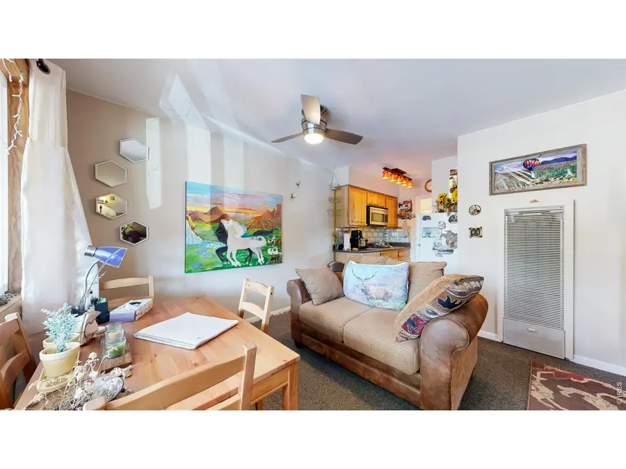 1250 S Saint Vrain Ave #3, Estes Park, CO 80517 - #2
