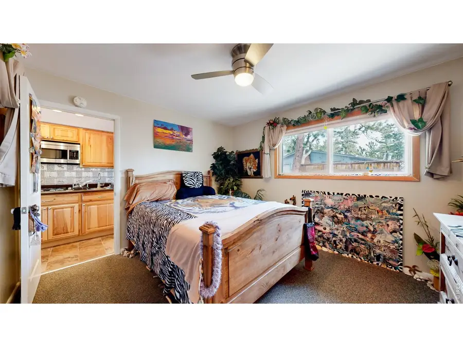 1250 S Saint Vrain Ave #3, Estes Park, CO 80517 - #3