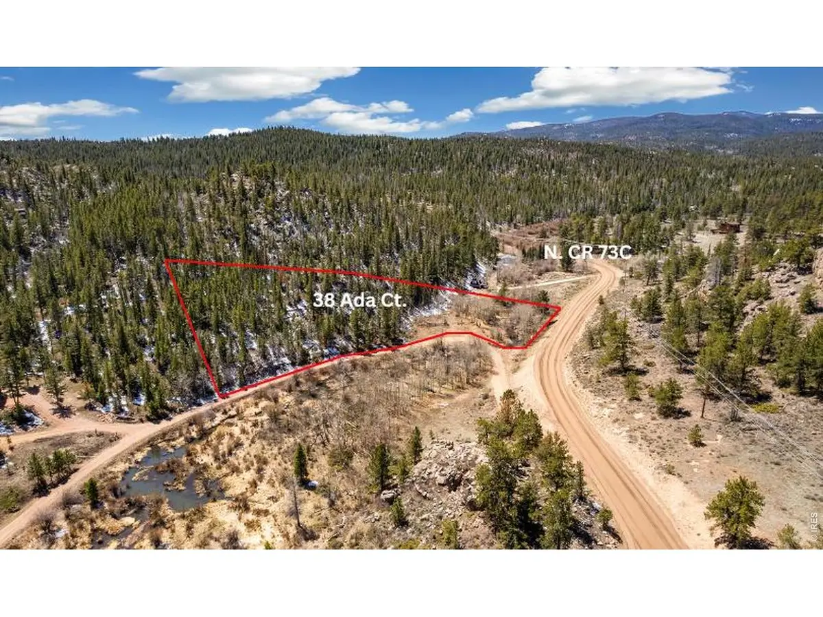 38 Ada Ct, Red Feather Lakes, CO 80545 - #1