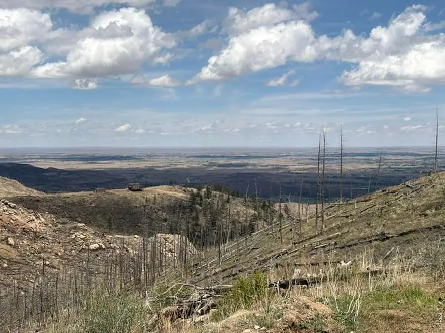 711 Saddle Ridge Rd, Bellvue, CO 80512 - #2