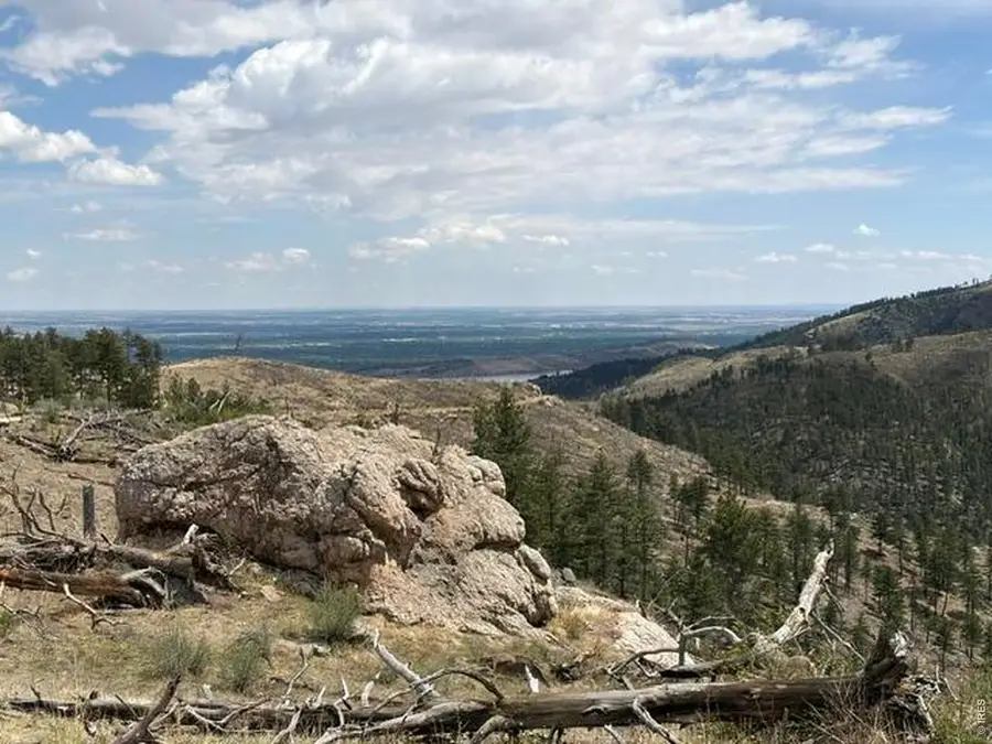 711 Saddle Ridge Rd, Bellvue, CO 80512 - #3
