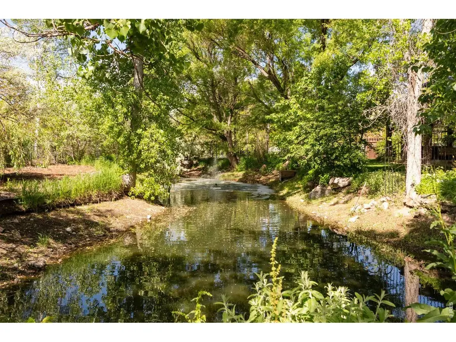 3935 Pierson St, Wheat Ridge, CO 80033 - #2