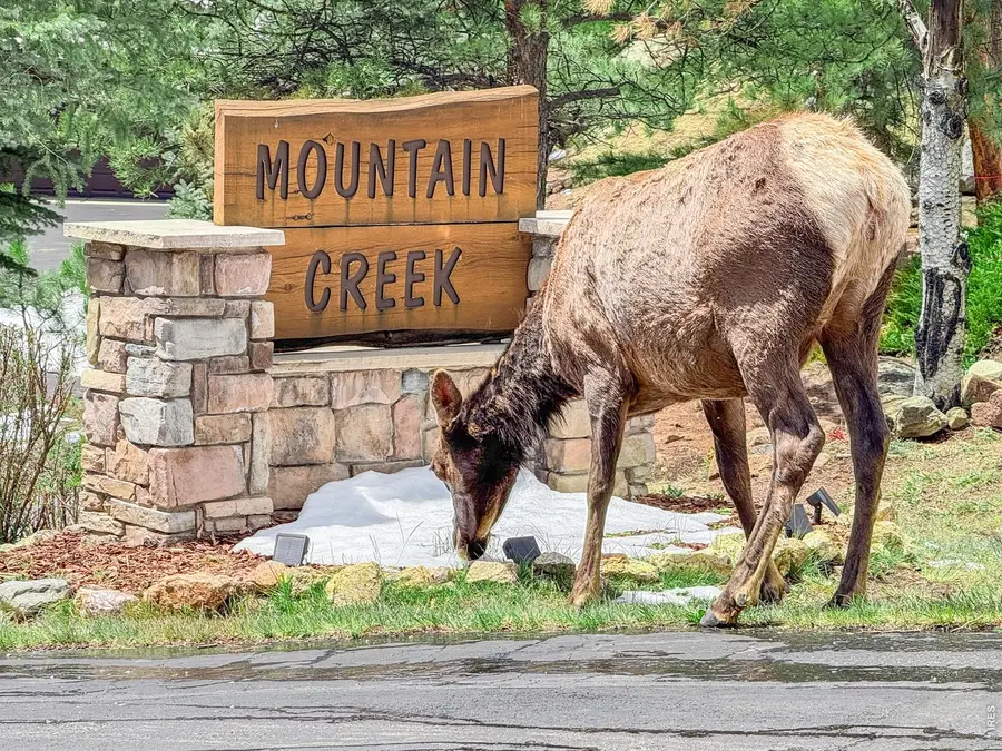 262 Steamer Ct, Estes Park, CO 80517 - #2