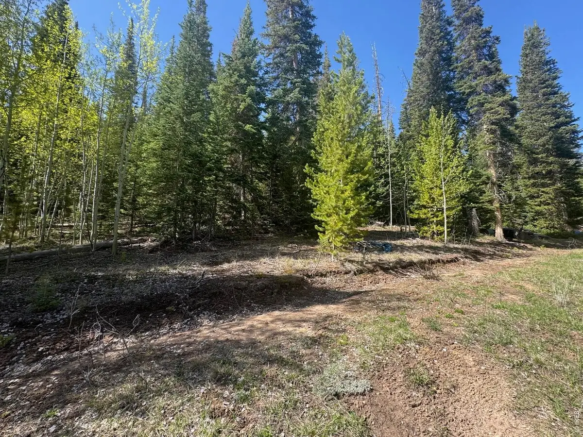44 Wilderness Rd, Walden, CO 80480 - #1
