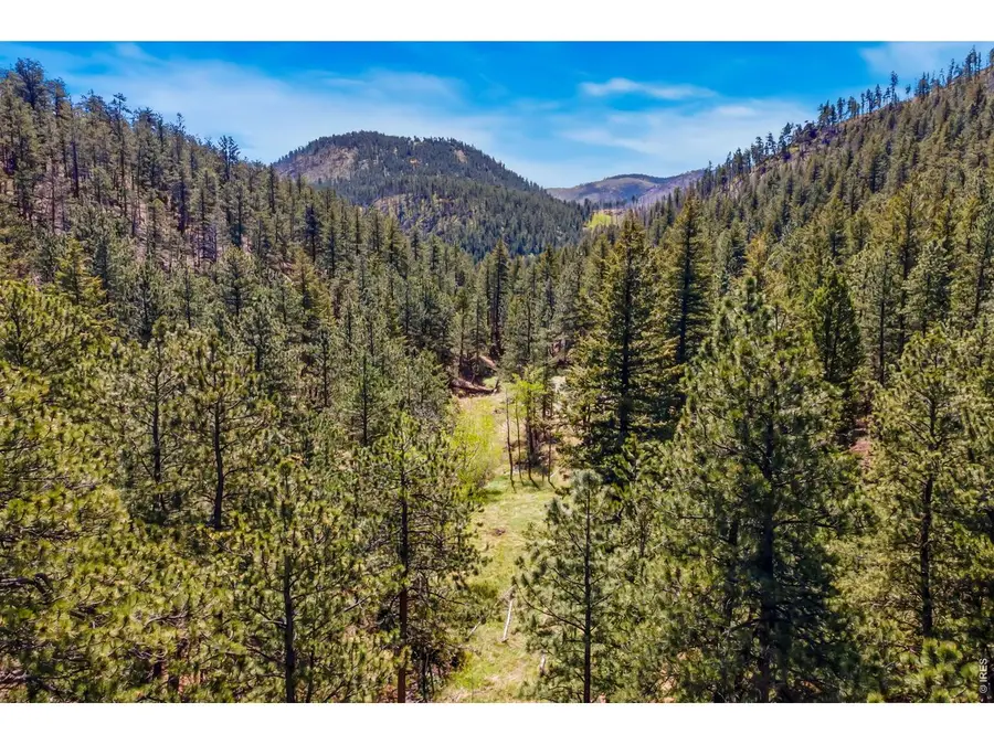 1899 Spring Valley Rd, Bellvue, CO 80512 - #2