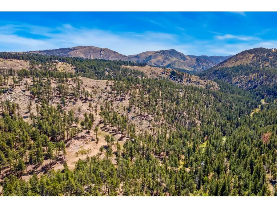 1899 Spring Valley Rd, Bellvue, CO 80512 - #3