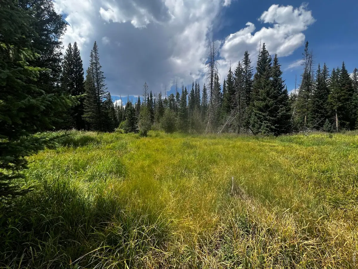 Address Withheld By Seller, Red Feather Lakes, CO 80545 - #1