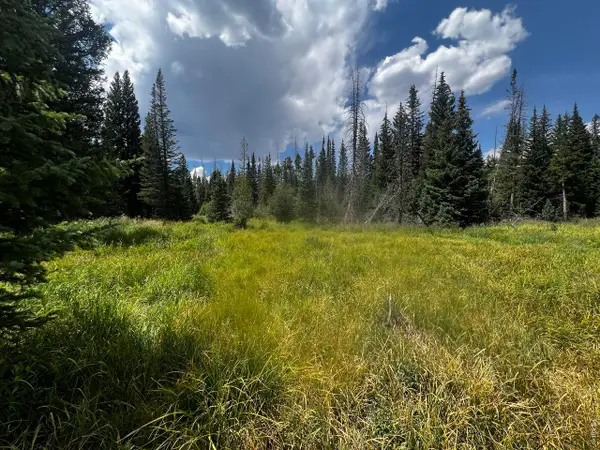 Address Withheld By Seller, Red Feather Lakes, CO 80545