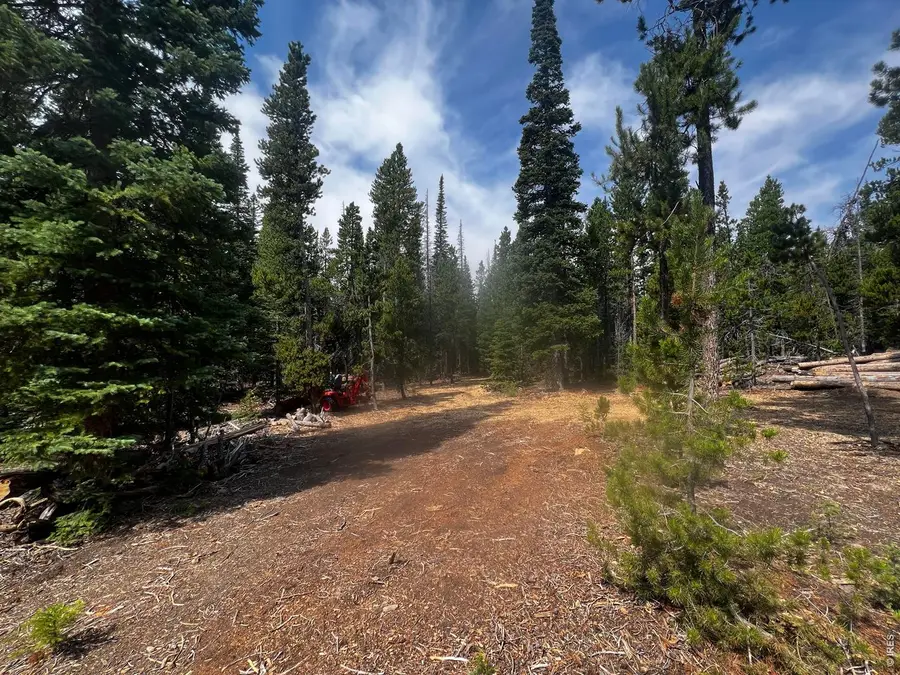 Address Withheld By Seller, Red Feather Lakes, CO 80545 - #3
