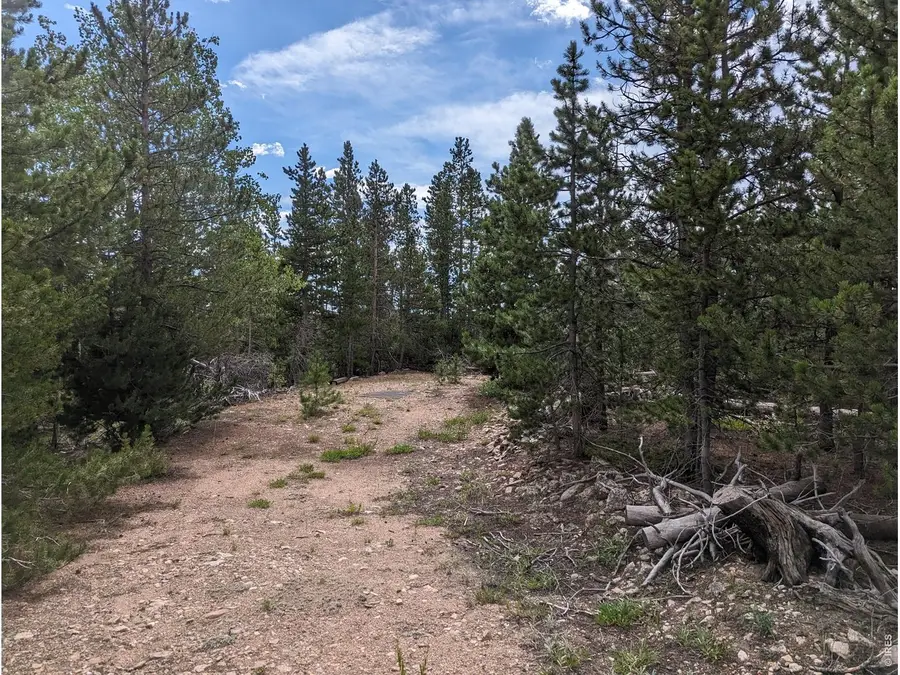 90 Quapaw Ct, Red Feather Lakes, CO 80545 - #3