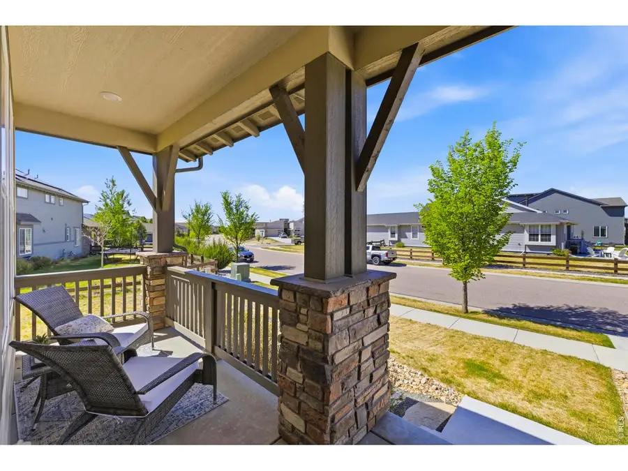 2910 Water View St, Timnath, CO 80547 - #3
