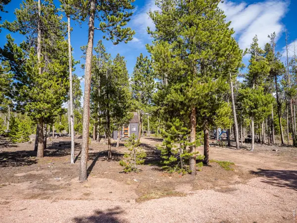 297 Manso Way, Red Feather Lakes, CO 80545