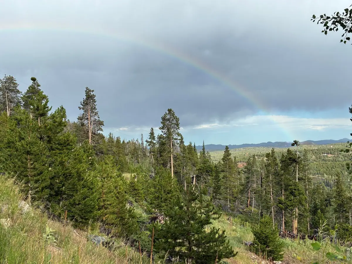 540 Elkridge Rd, Red Feather Lakes, CO 80545 - #1