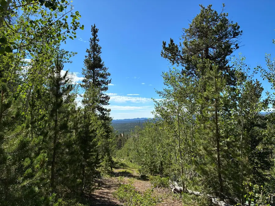540 Elkridge Rd, Red Feather Lakes, CO 80545 - #3