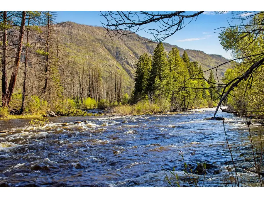 44174 Poudre Canyon Rd, Bellvue, CO 80512 - #2