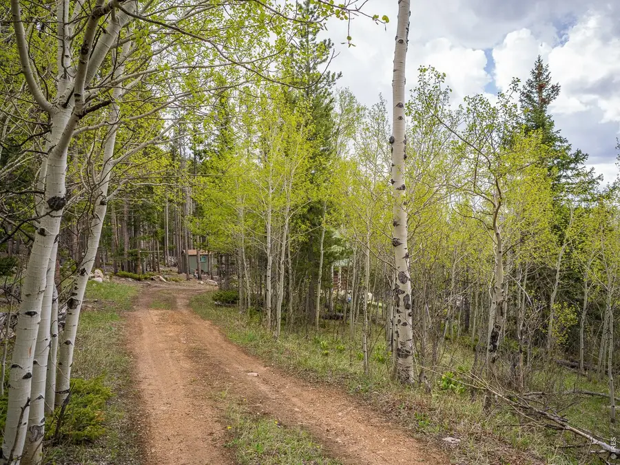 2227 Osage Trl, Red Feather Lakes, CO 80545 - #3