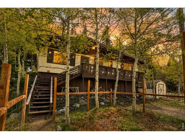 702 Bryan Ave, Nederland, CO 80466