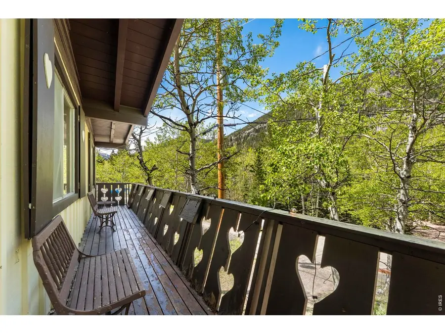 702 Bryan Ave, Nederland, CO 80466 - #3