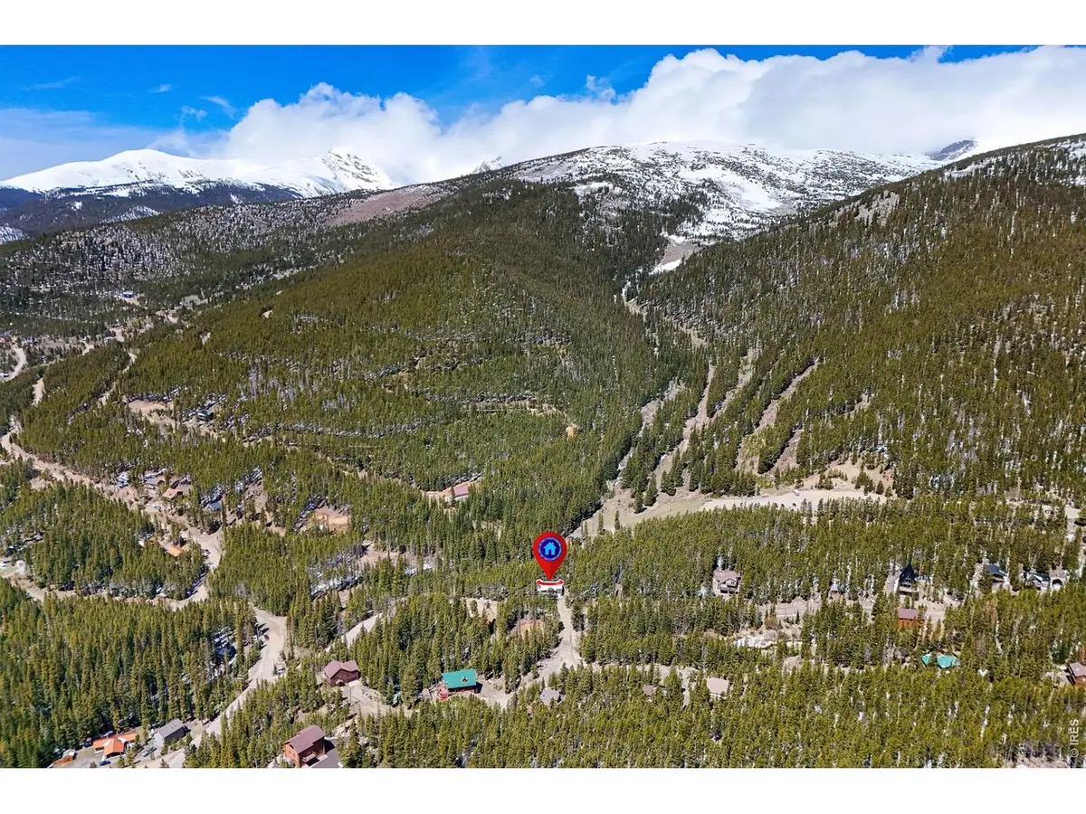 218 Brook Dr, Idaho Springs, CO 80452 - #1