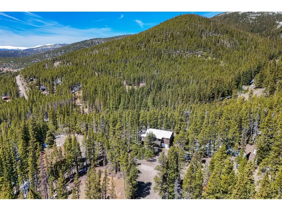 218 Brook Dr, Idaho Springs, CO 80452 - #3