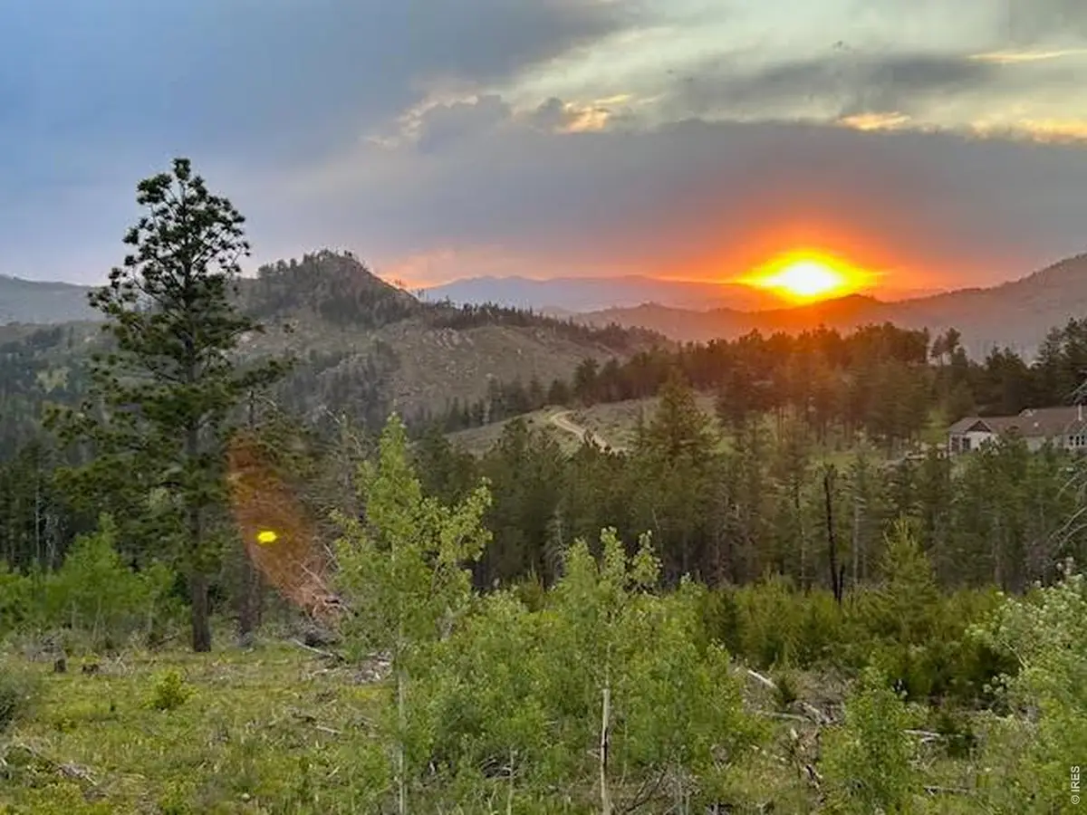 892 Stratton Park Rd, Bellvue, CO 80512 - #1