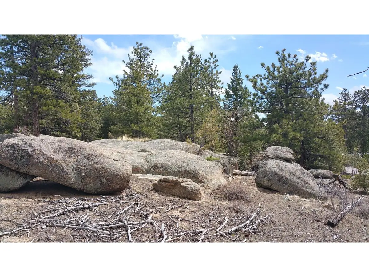 2928 Fox Acres E Dr, Red Feather Lakes, CO 80545 - #1